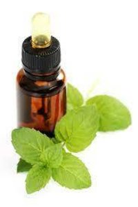 Mentha Arvensis Oil - 99% Pure Essential Oil , Pale Yellow Liquid, Minty Aroma From Peppermint Leaves
