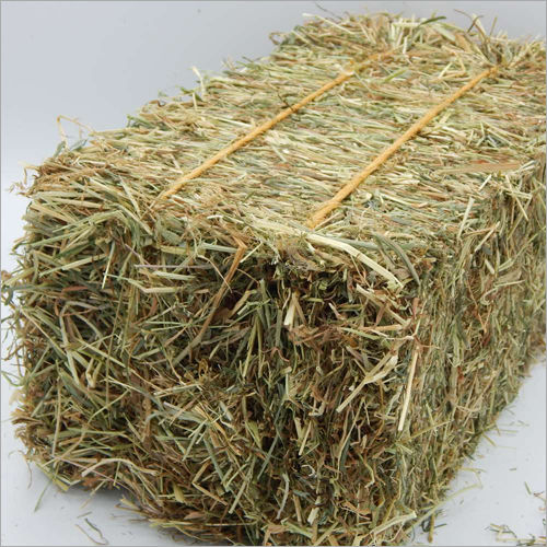 Grass Hay Bale