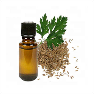 Davana Oil Raw Material: Leaves