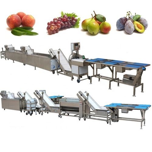 Full Automatic Peach Grape Pear Prune Washing Waxing Cutting Line Capacity: Customed Kg/Hr