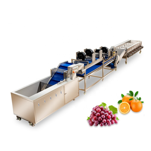Full Automatic Grape Orange Washing Air Drying Sorting Grading line