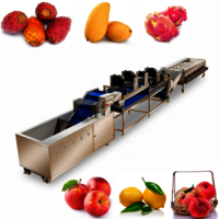 Factory Direct Sales Fruit Processing Machine Flat peach Washing Machine Dryer Equipment Grading Production Line