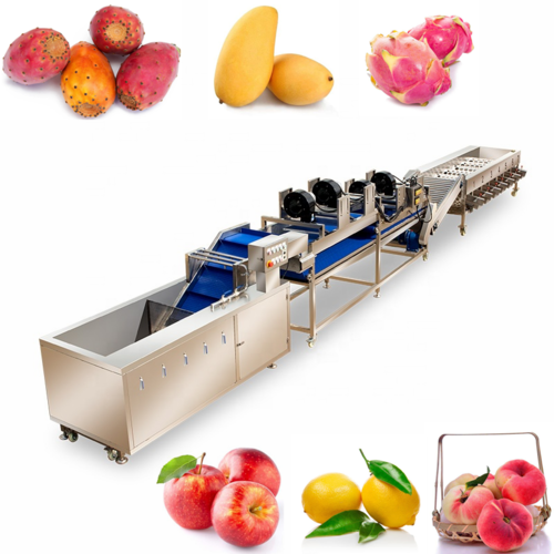 Automatic Mango Sorting Machine Round Fruits Washing Waxing Drying Sorting Processing Line