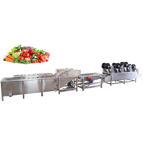 Automatic Bell Pepper Chili Seaweed Kale Spray Cleaning Cherry tomatoes Baby carrot Vibration Drain Production Line Cabbage Celery Tomato Washing Air Drying Processing Line