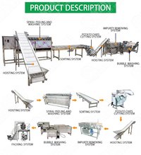 Fully Automatic Industrial Frozen French Fries Production Line Cassava Fresh Finger Sweet Potato Chips Making Machine Price