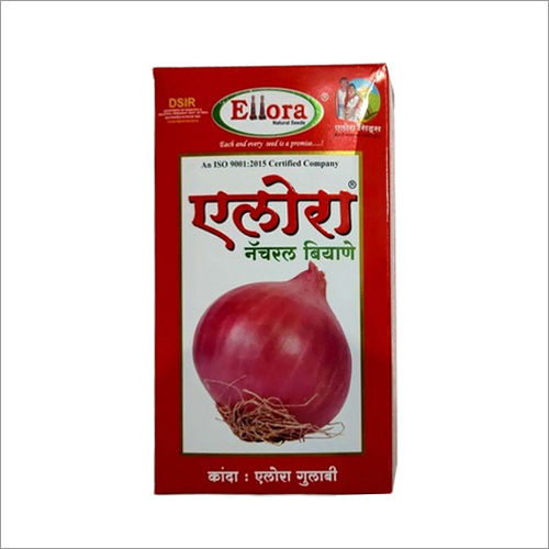 ONION ELLORA GULABI