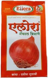 ONION ELLORA GULABI