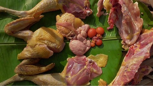 Chicken Meat