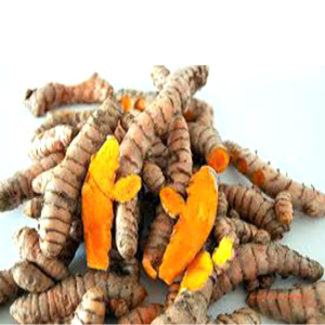 Dry Turmeric