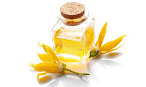 Ylang Ylang Oil