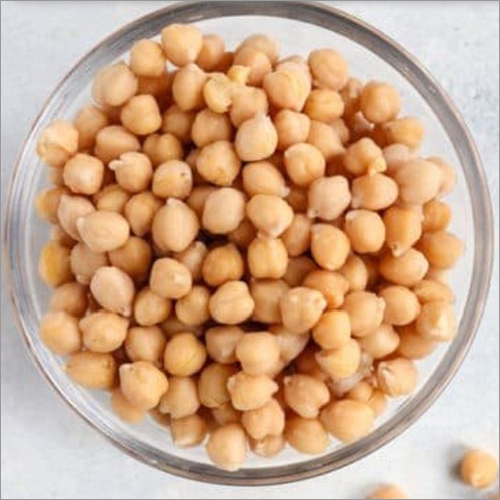 Common White Chickpea