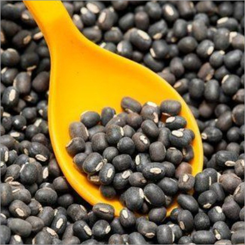 Common Black Whole Urad Dal