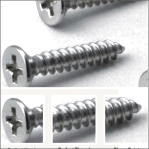 SS CSK Phillips Head Self Tapping Screws