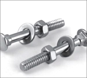 SS Carriage Bolt With Nut