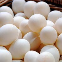 Organic White Eggs