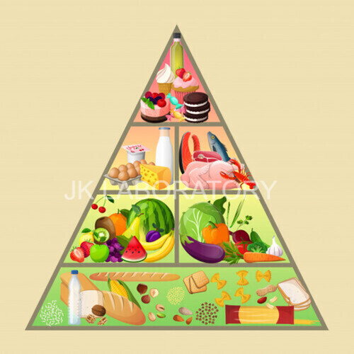 Glycemic Index Testing સેવાઓ