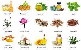 ANANTMOOL OIL