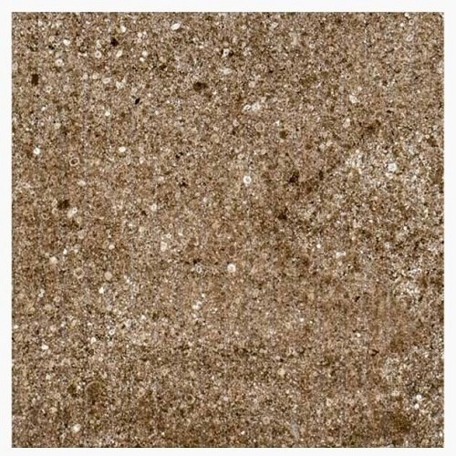 Pgvt Vitrified Floor Tile Size: 600X600