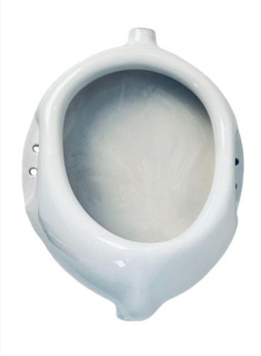 White Urinal Bowl