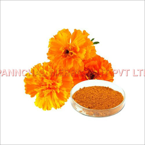 Marigold Extracts