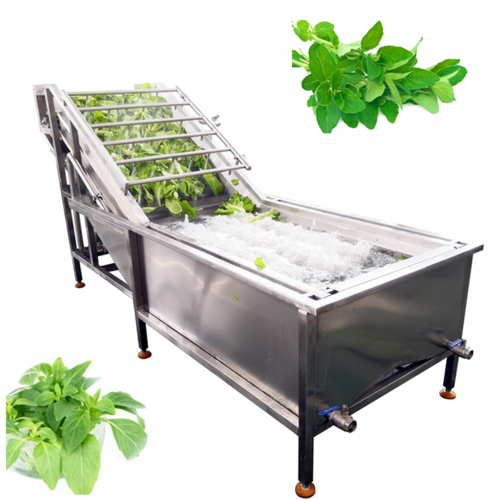 Automatic Bubble herbs washer oregano washing machine basil cleaning machine