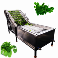 Automatic Bubble herbs washer oregano washing machine basil cleaning machine