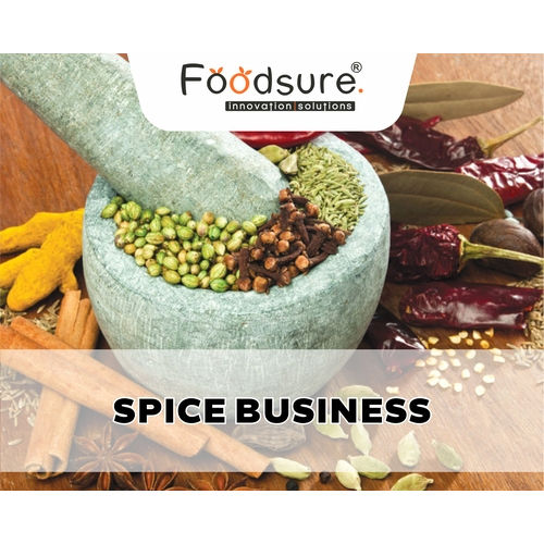 Spice Plant Consultancy Services