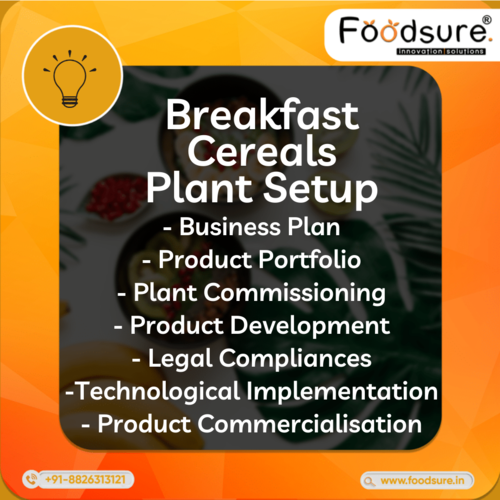 breakfast cereals plant consultancy service