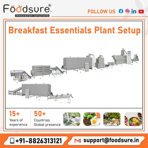 Breakfast Cereals Plant Consultancy Service