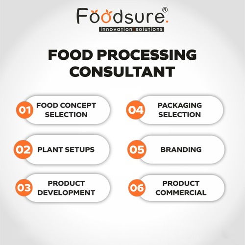 Food Processing Consultant