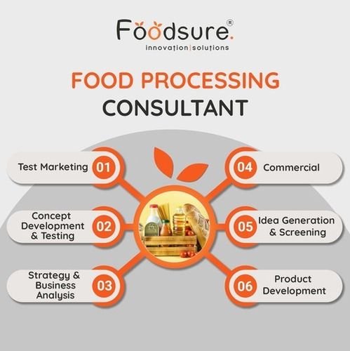 Food Processing Consultant