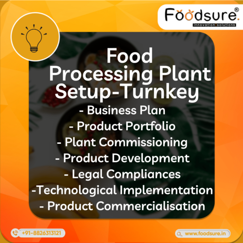 food processing consultant
