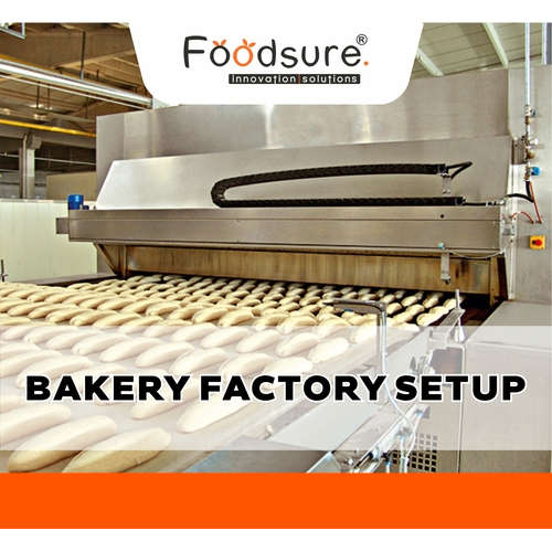Bakery Factory Setup Consultant