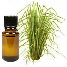 Indian Herbal Oil