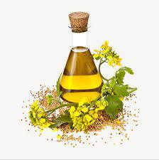 SESAME OIL