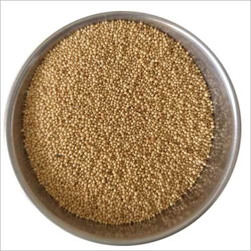 Yellow Amaranth Seed