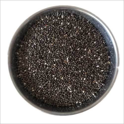 Black Chia Seed