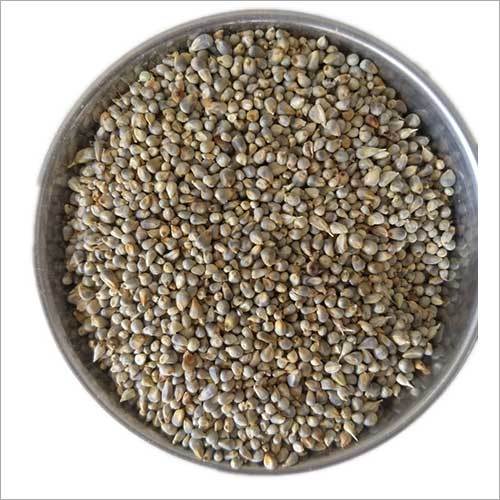 Clear Organic Pearl Millet