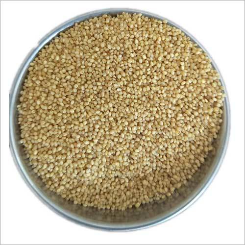 Organic Foxtail Millet