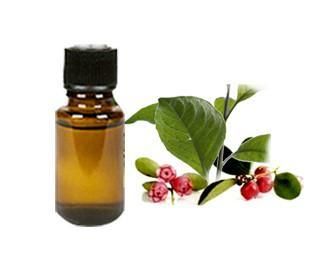 Gaultheria Oil ( Winter Green Joint Pain Oil)