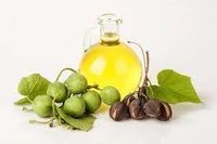Jatropha Oil - 0.86-0.92 G/cm3 Density, 150-170 °c Flashpoint | Non Toxic, Biodegradable Renewable Energy Source