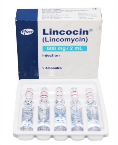 Lincomycin Injection