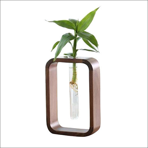 Indoor Planter Tubes In Wooden Holder Height: 6  Centimeter (Cm)