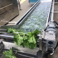 Automatic Bubble herbs washer oregano washing machine basil cleaning machine
