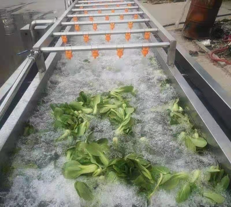 Automatic Bubble herbs washer oregano washing machine basil cleaning machine