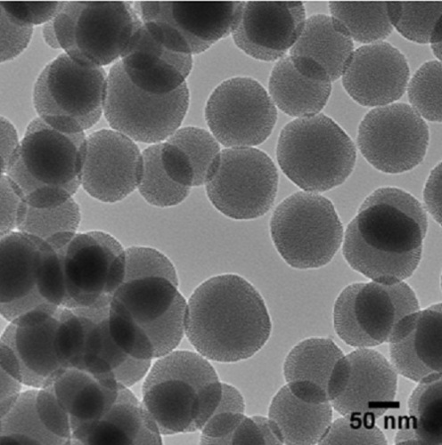 Mesoporous Silica Nanoparticle