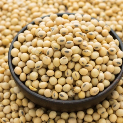 Soya Beans