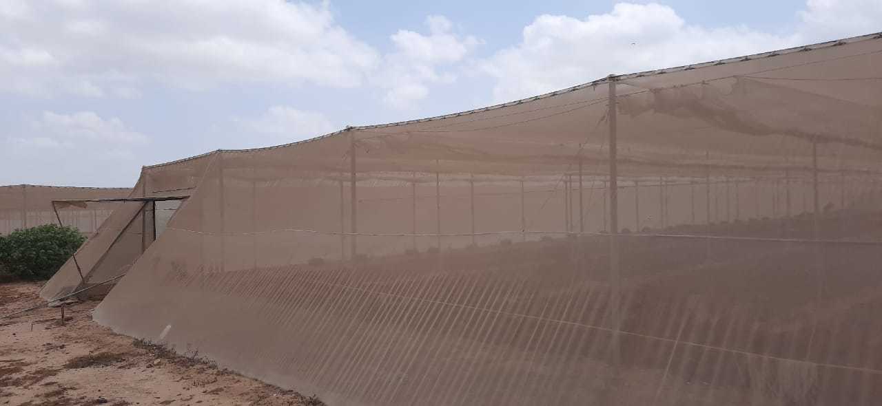 Second hand shade net house