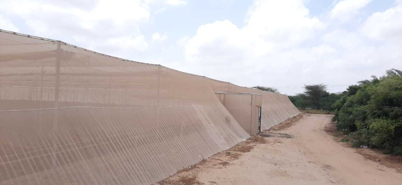 Second hand shade net house