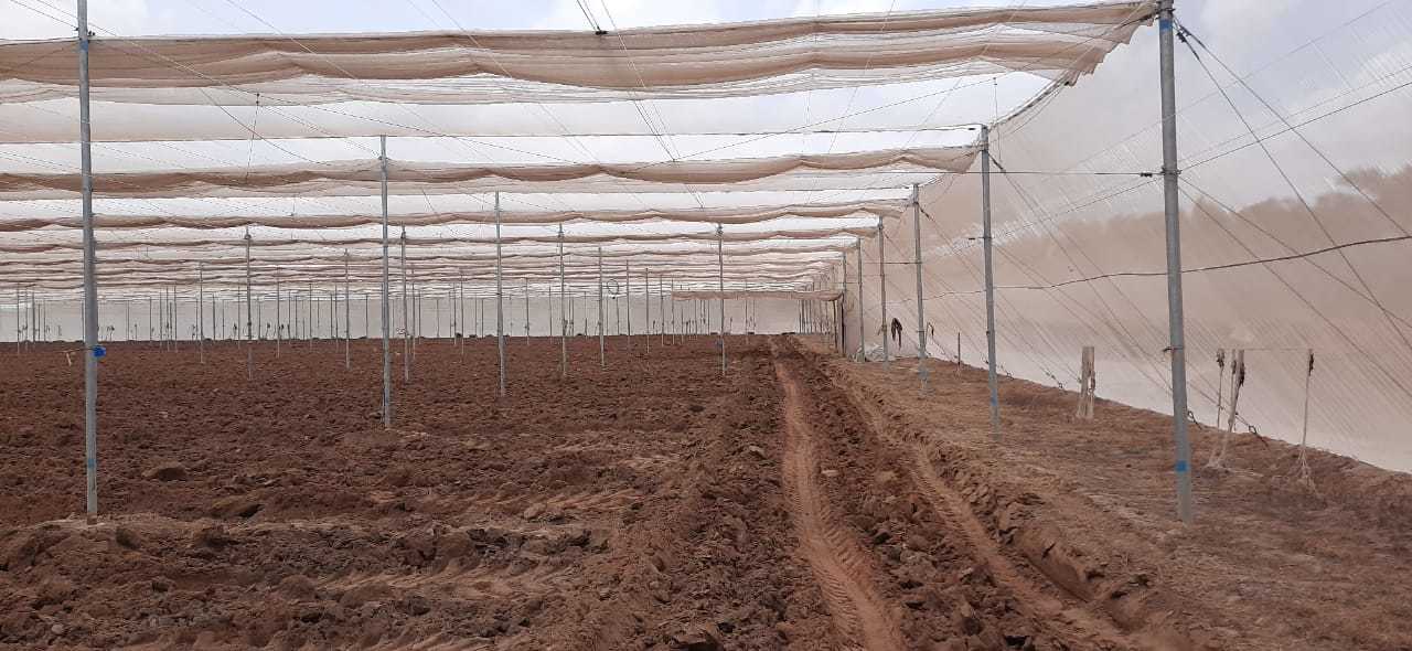 Second hand shade net house